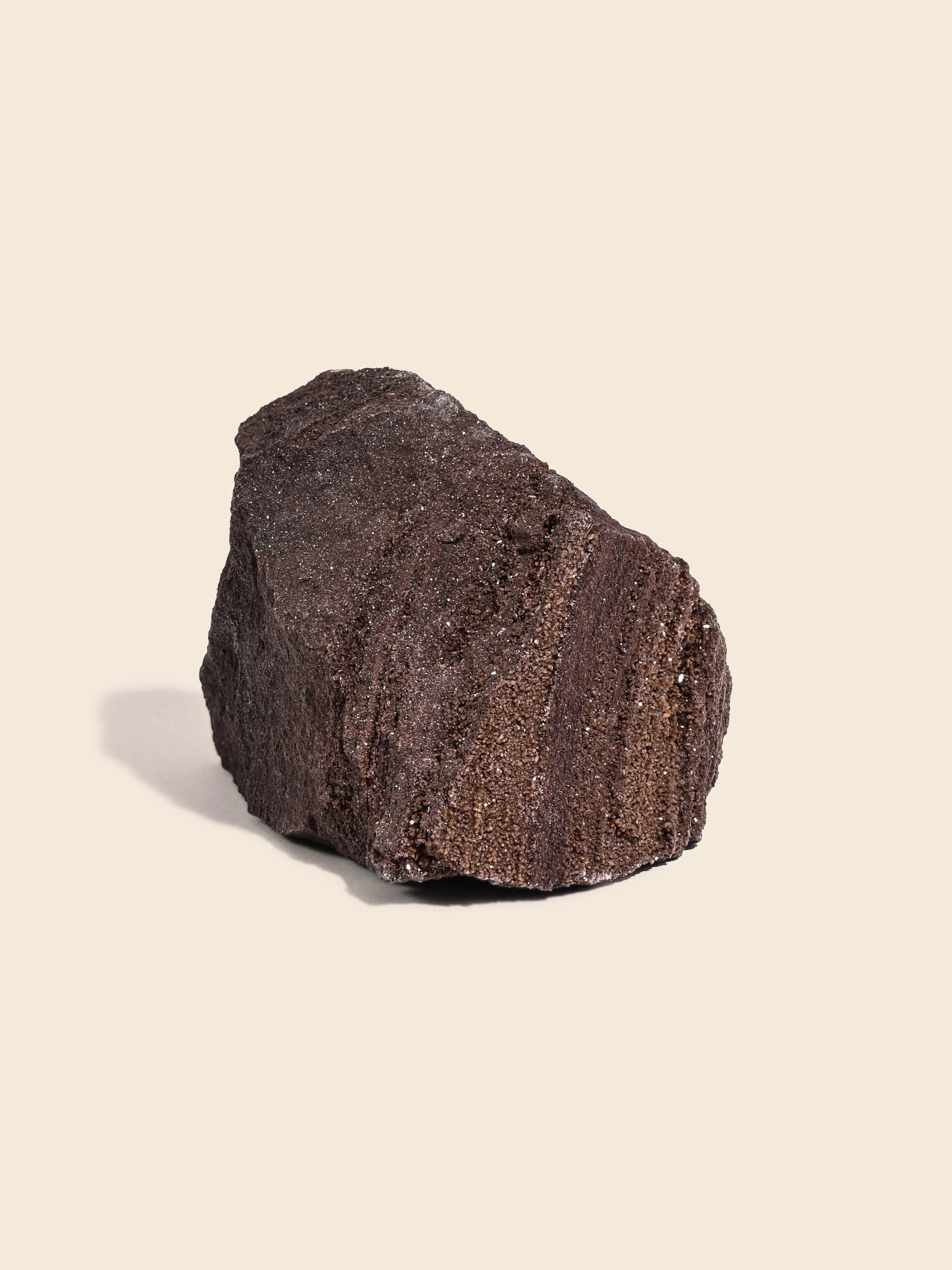 Permineralized Wood - Image 49