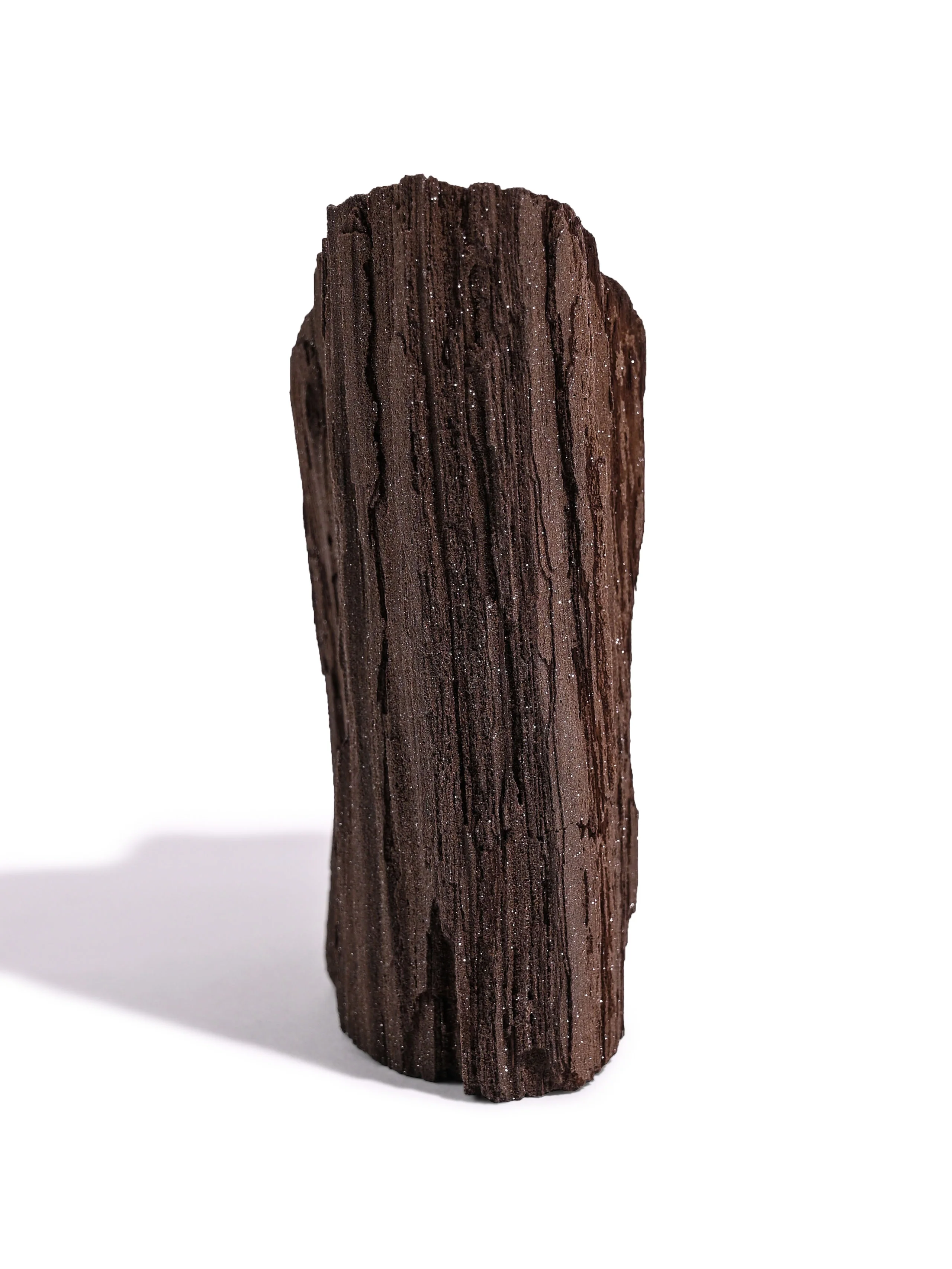 Permineralized Wood - Image 5