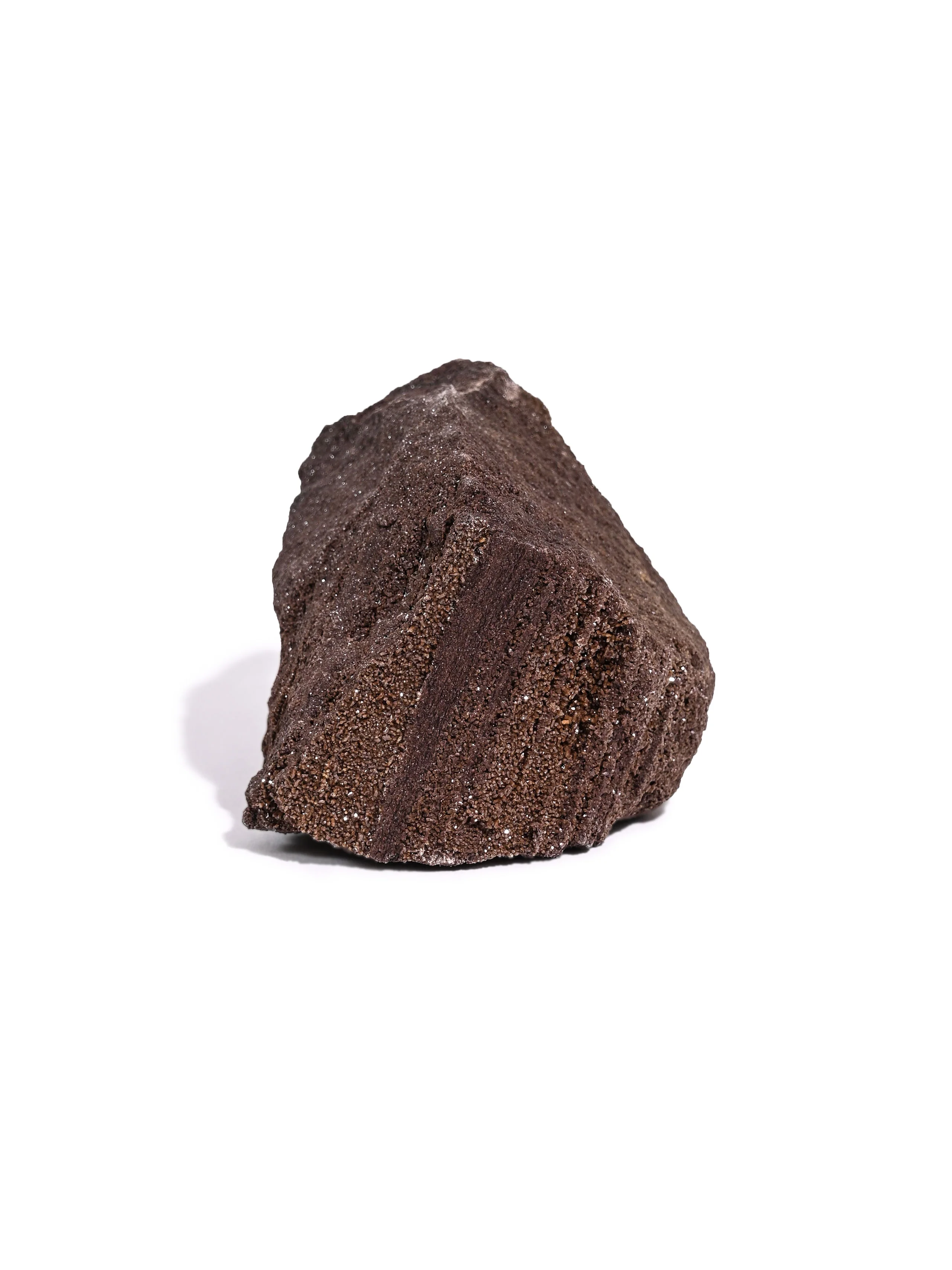 Permineralized Wood - Image 50