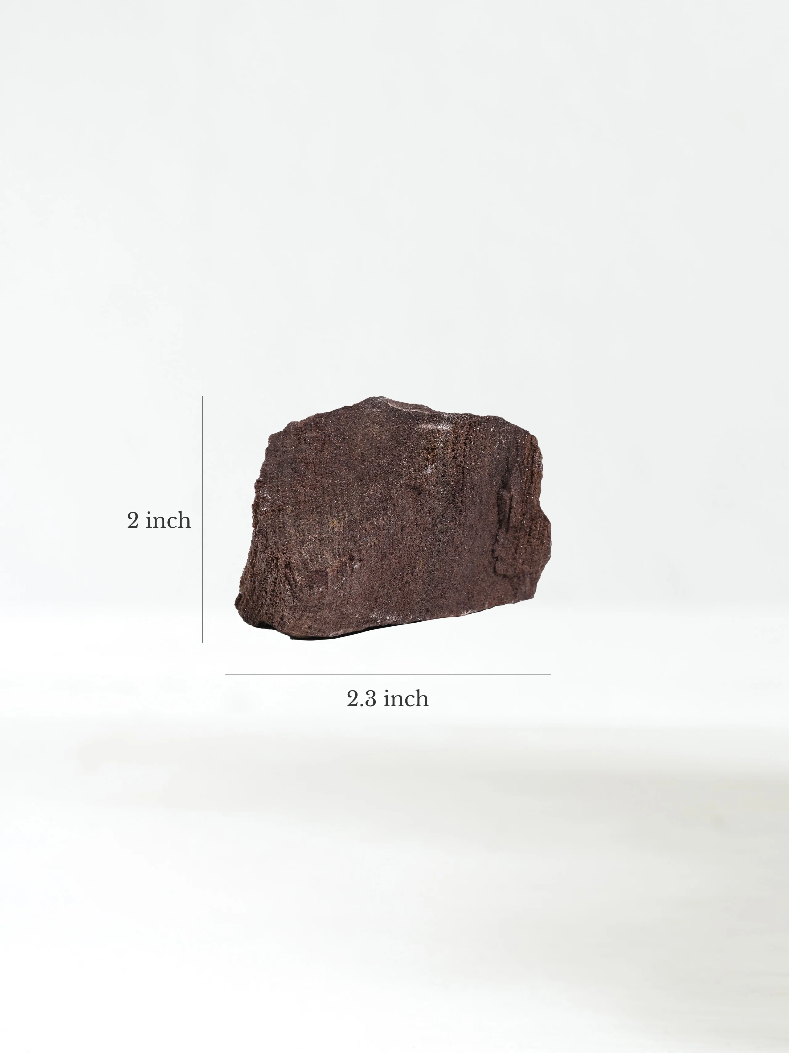 Permineralized Wood - Image 51