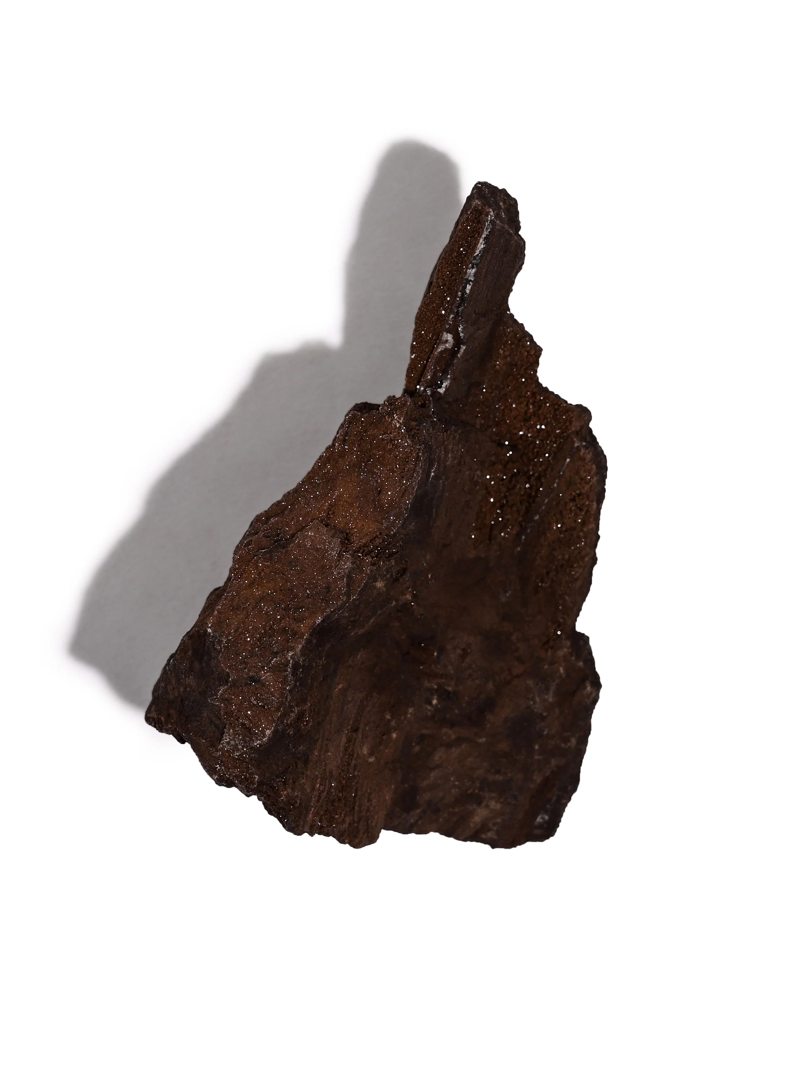Permineralized Wood - Image 53