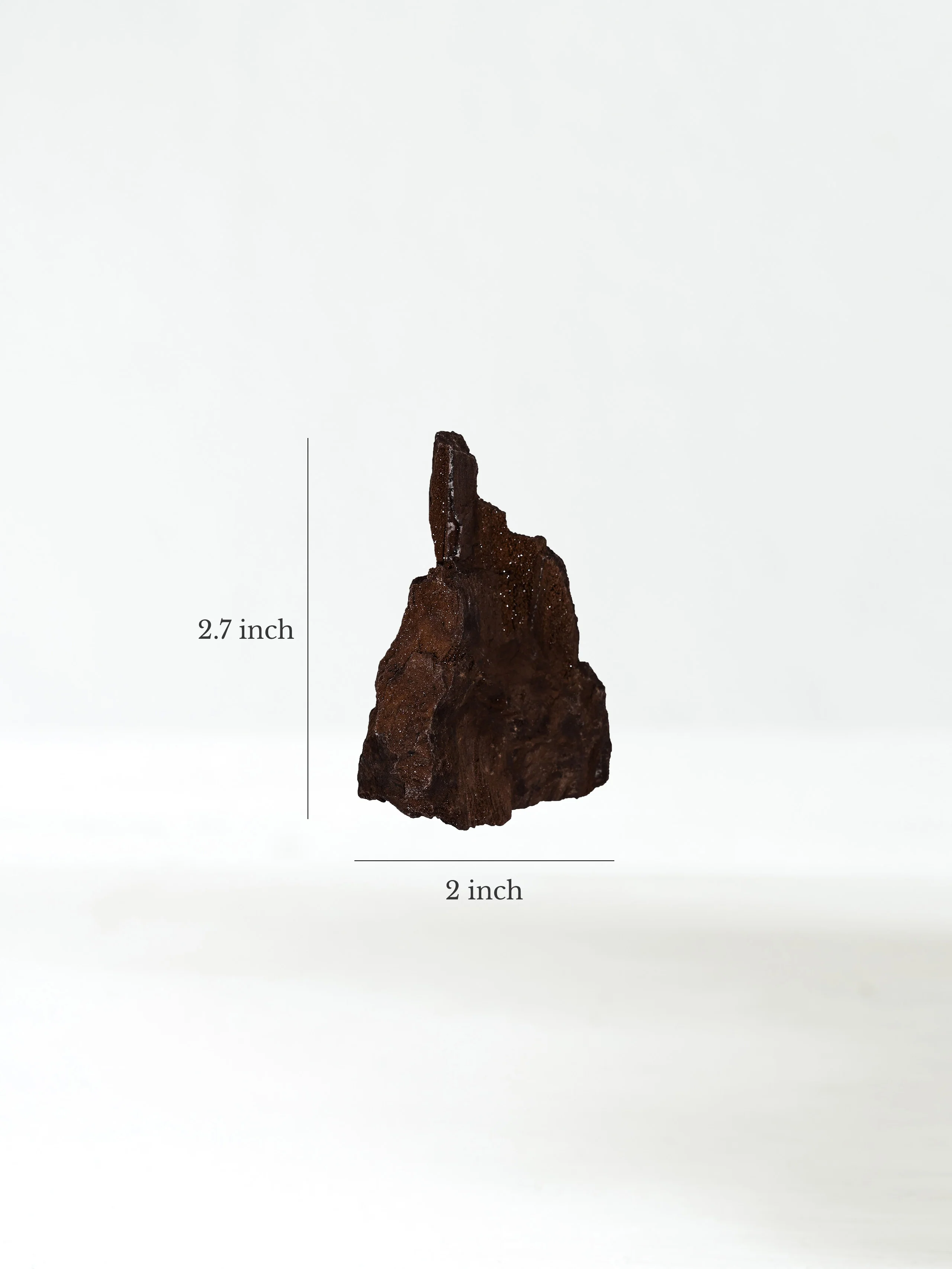 Permineralized Wood - Image 54