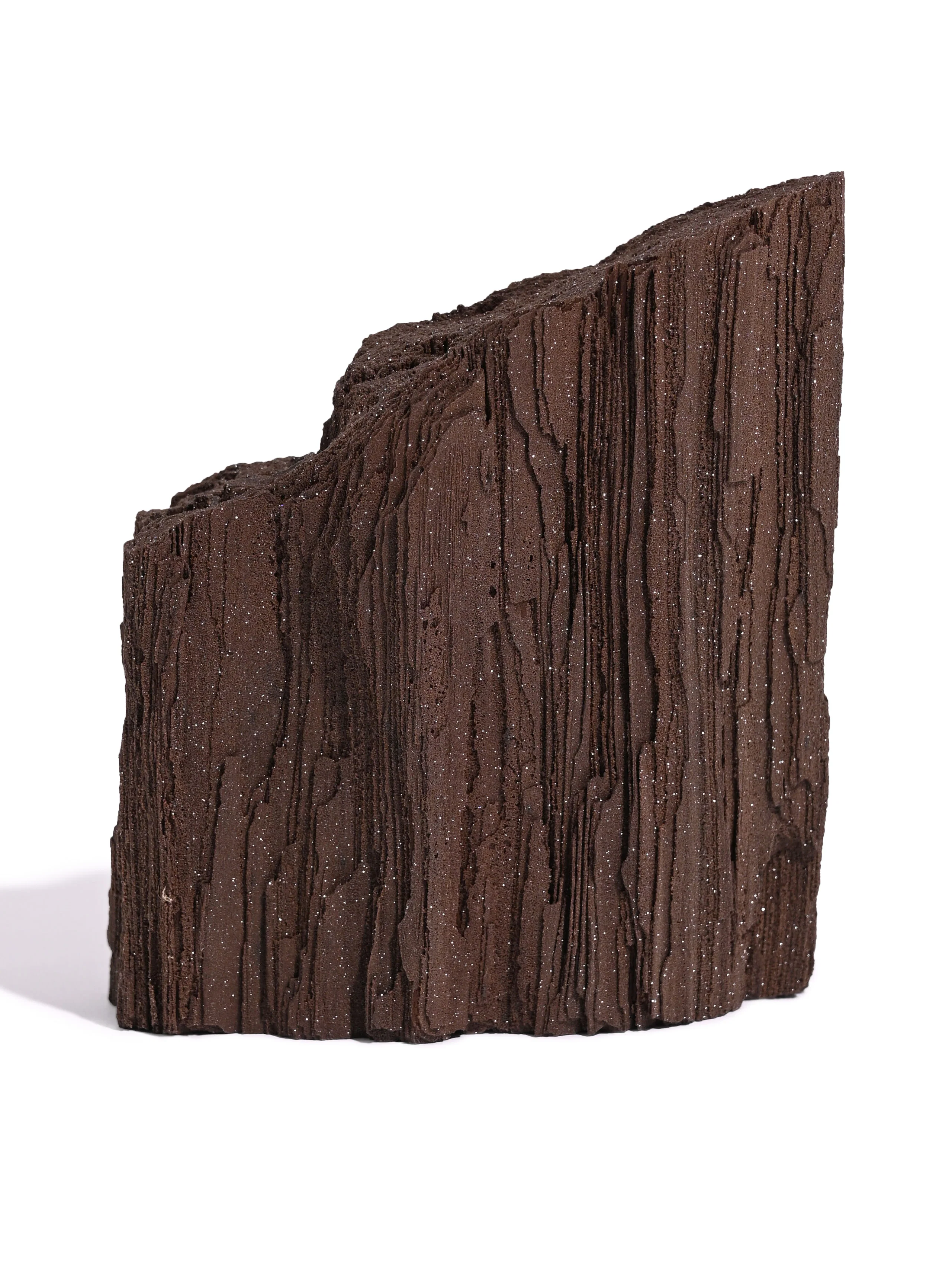Permineralized Wood - Image 6
