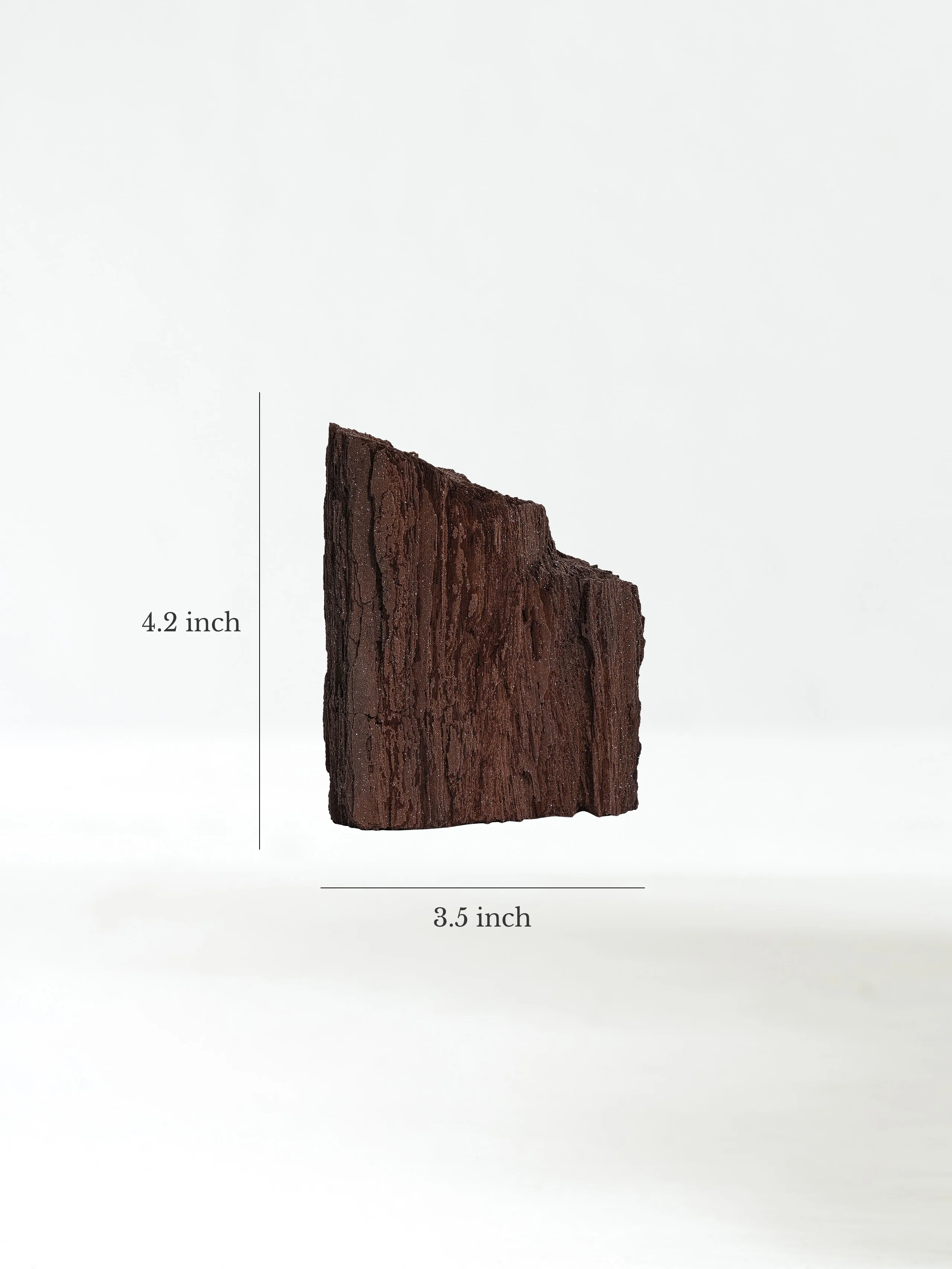 Permineralized Wood - Image 7