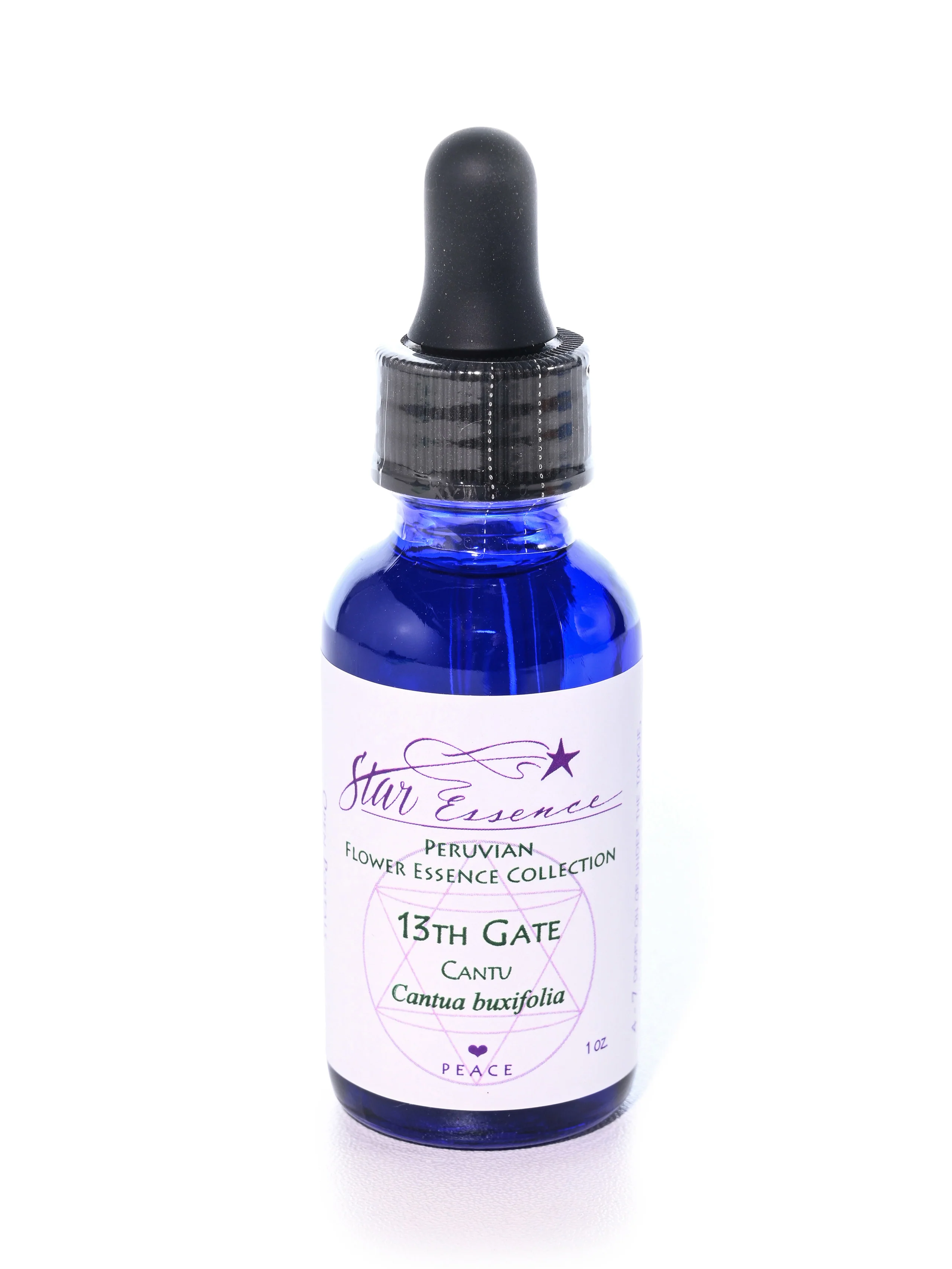 Peruvian Flower Essences: 13th Gate
