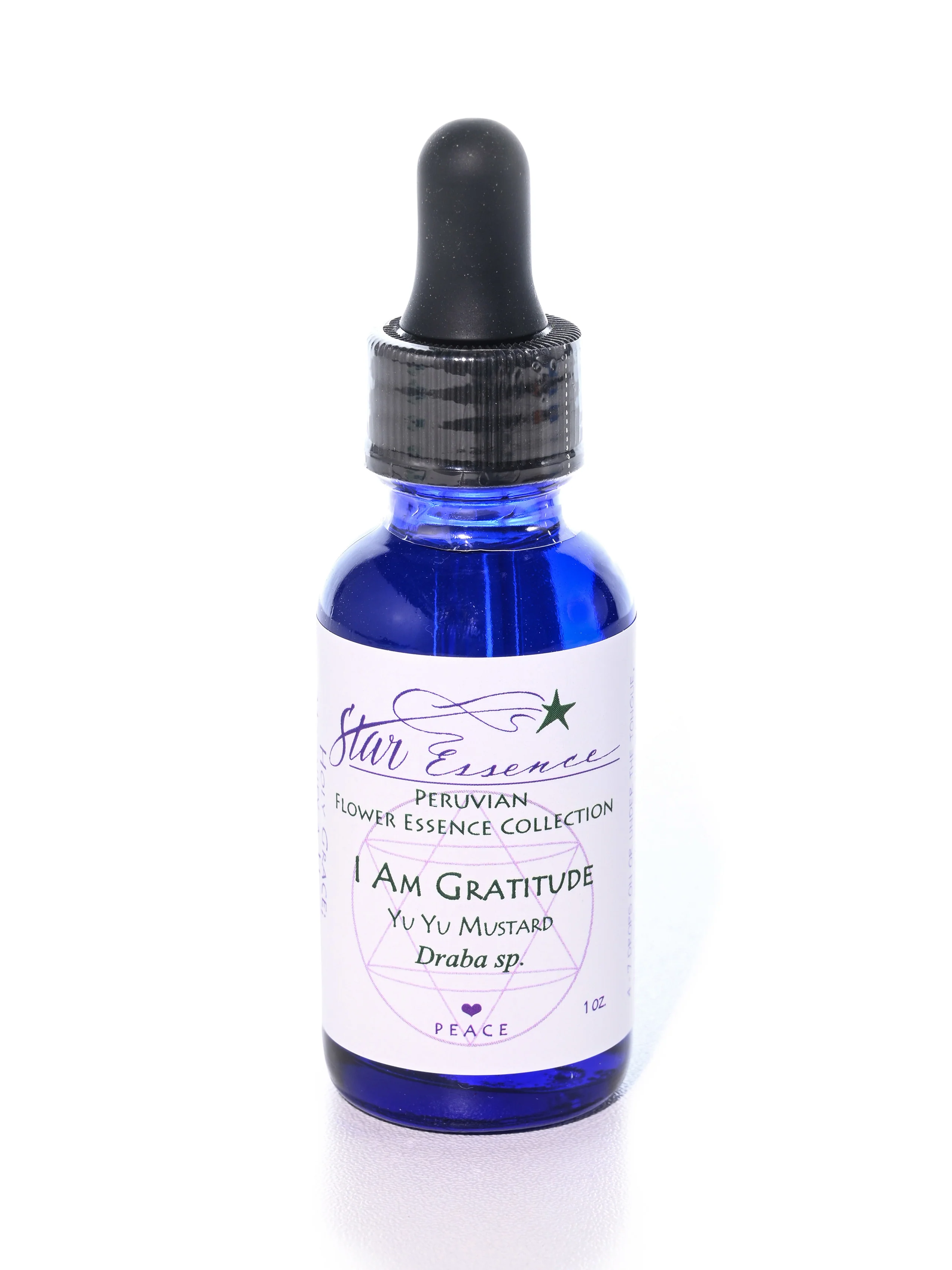Peruvian Flower Essences: I Am Gratitude