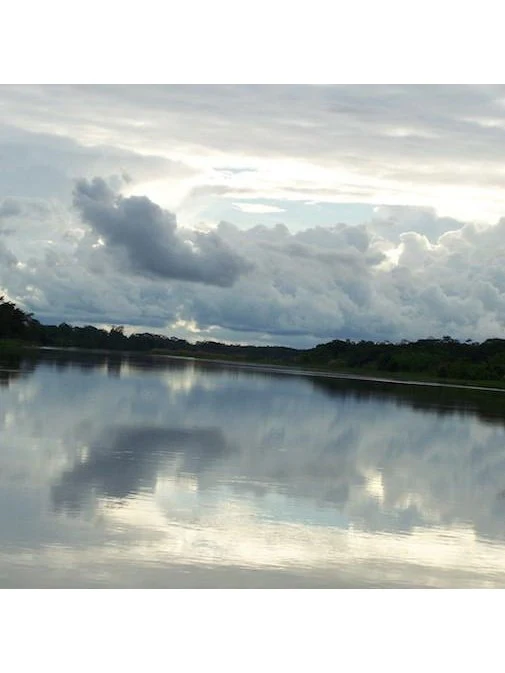 Peruvian Essence - Amazon - Image 2