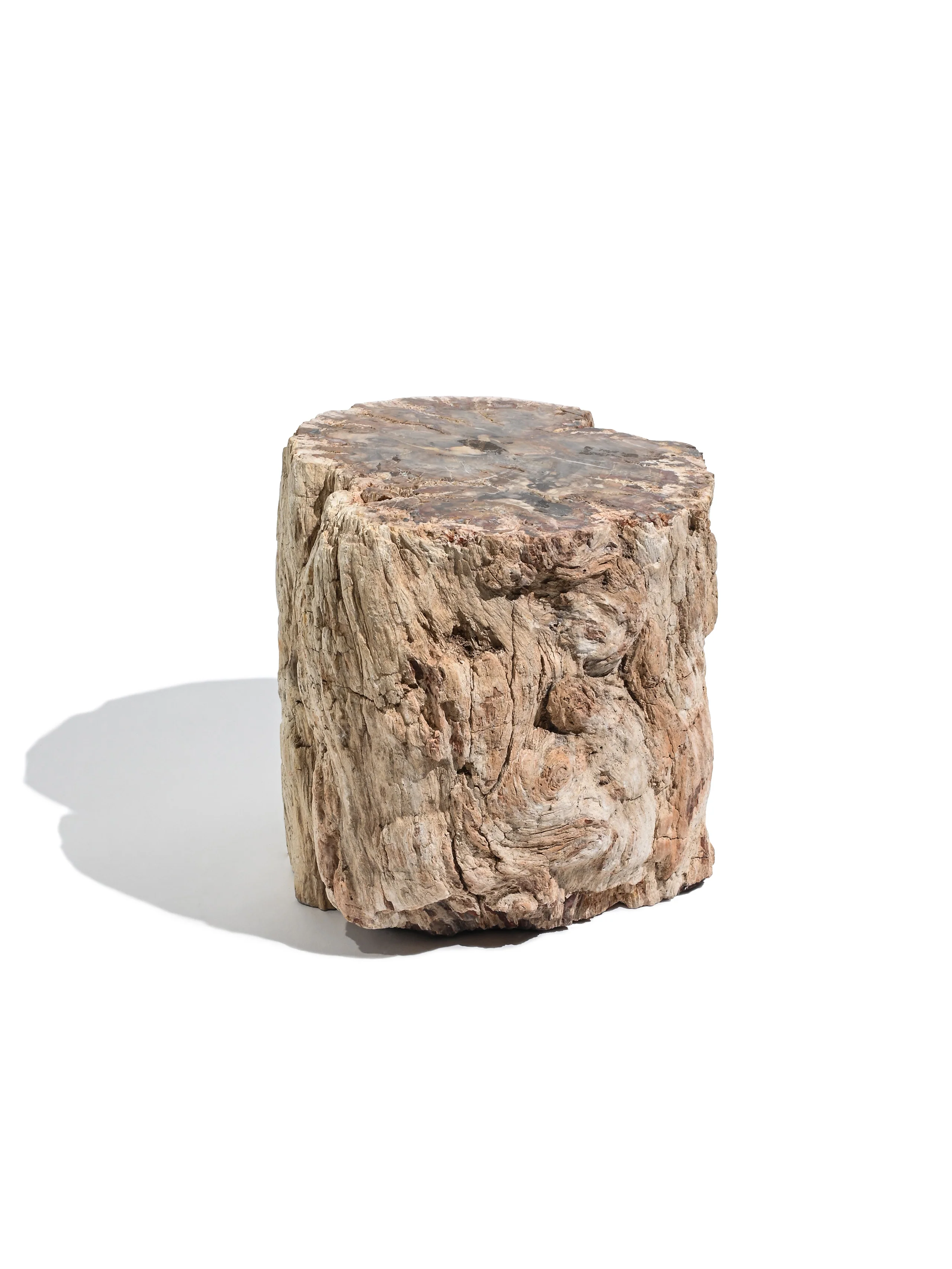 Petrified Wood Branches - Image 23