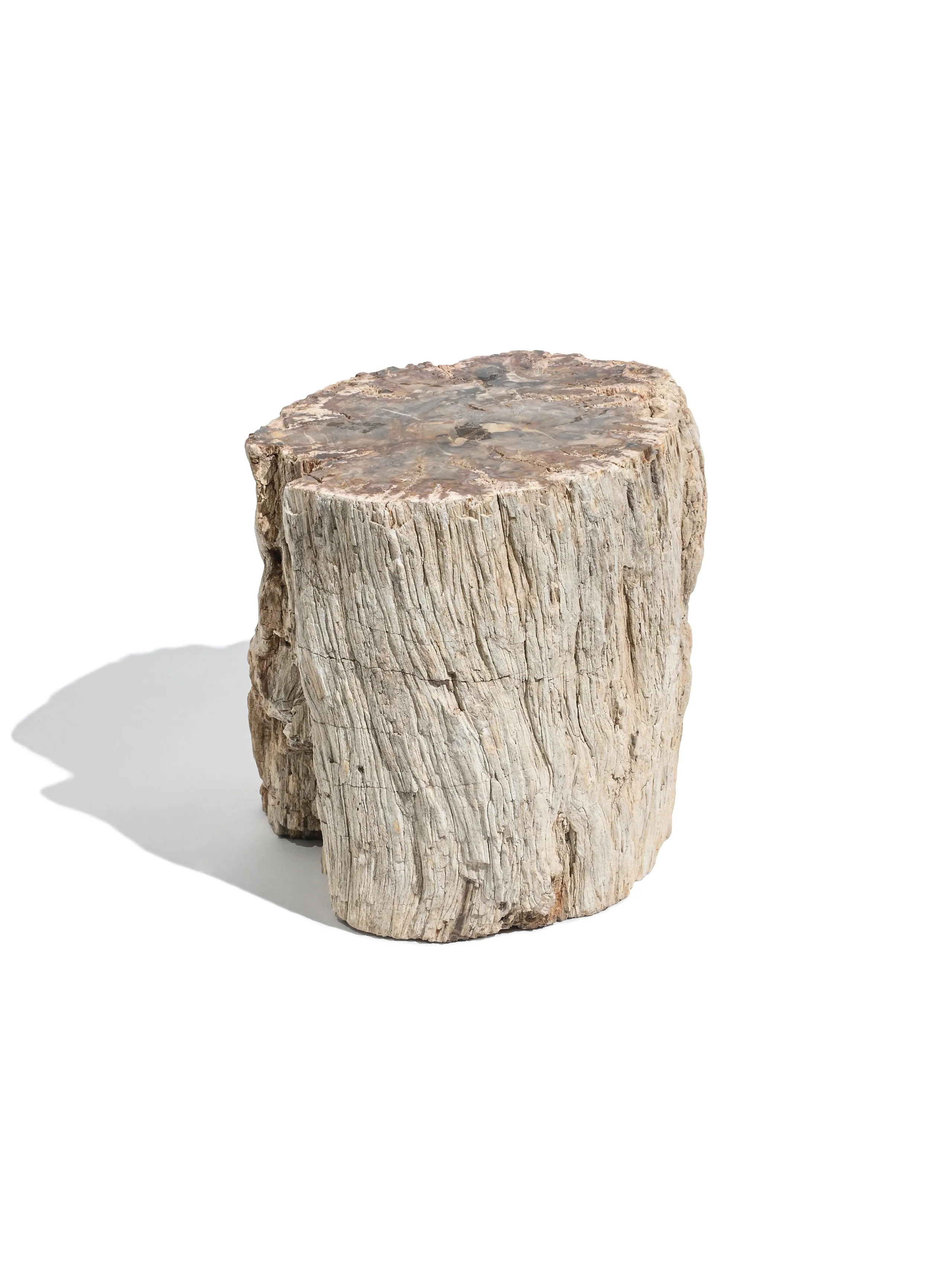 Petrified Wood Branches - Image 26