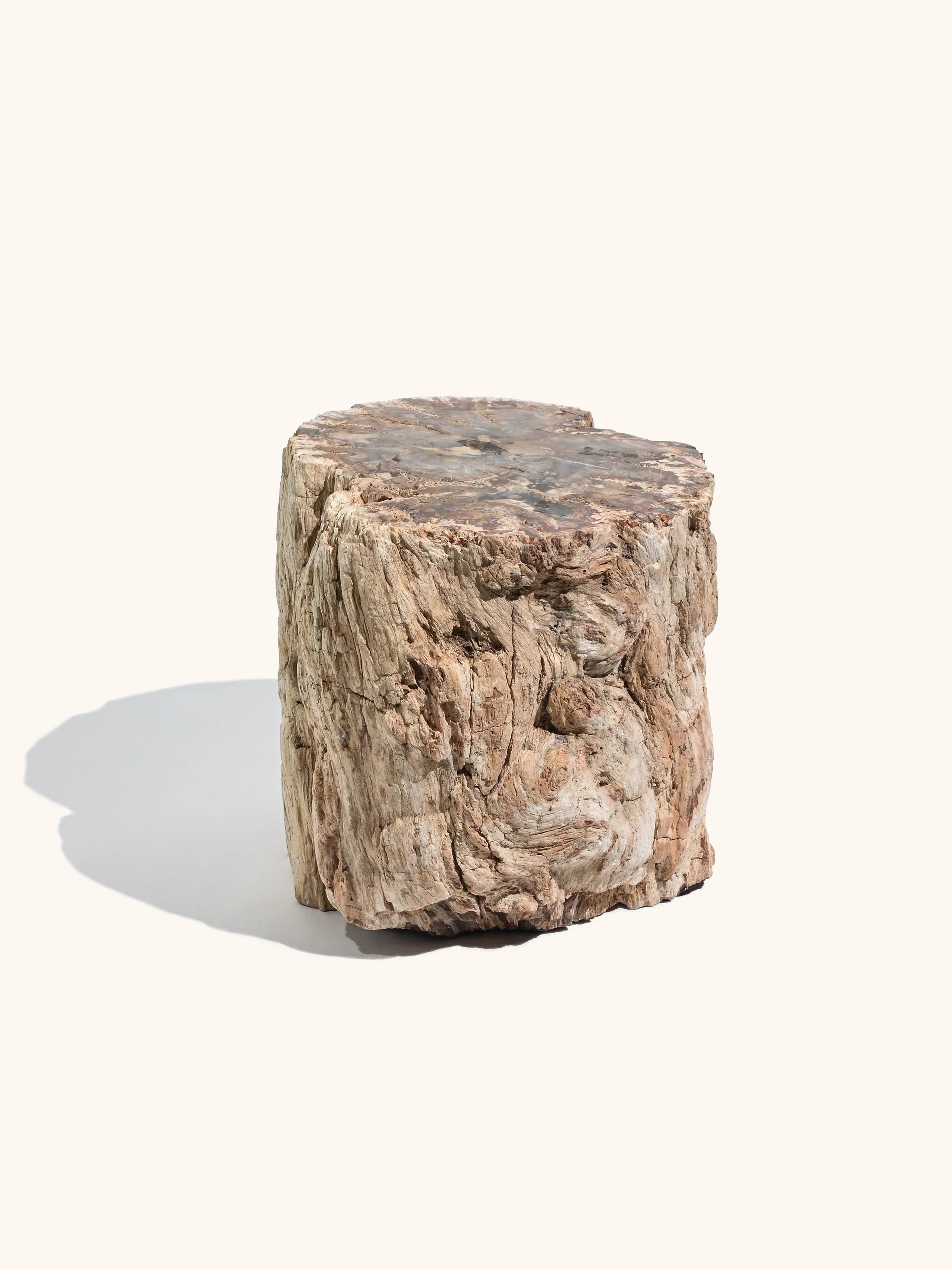 Petrified Wood Branches - Image 28