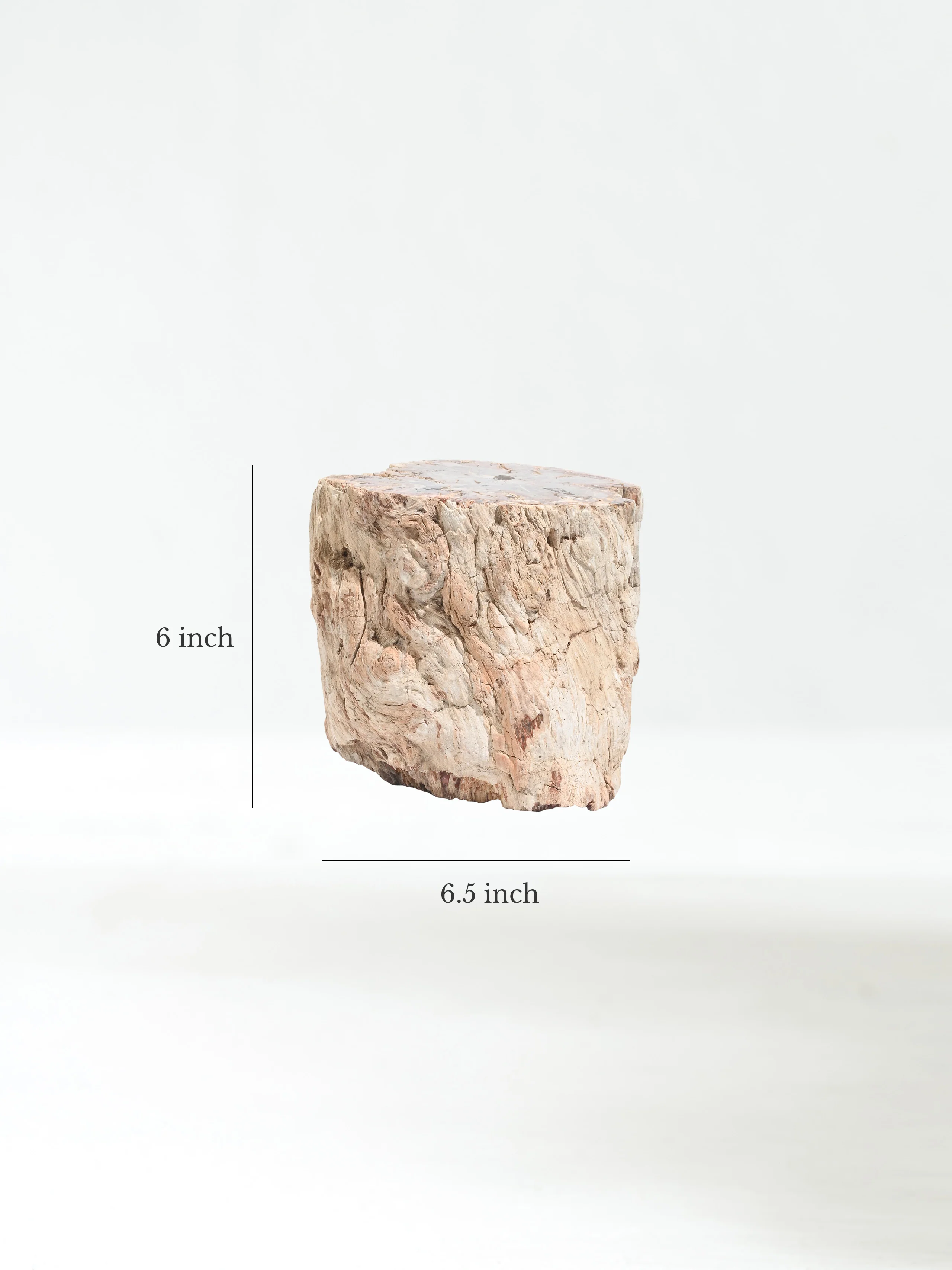 Petrified Wood Branches - Image 32
