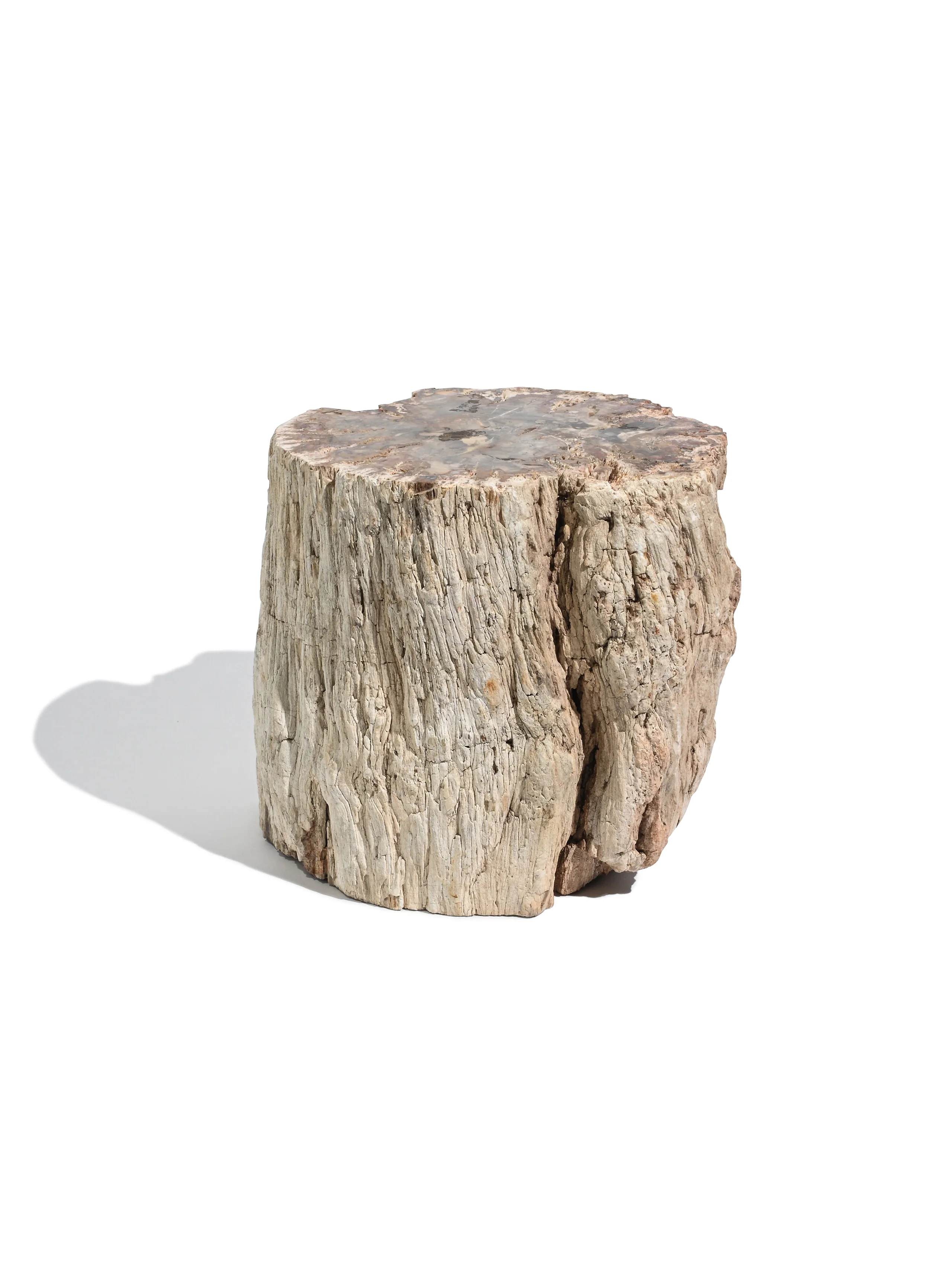 Petrified Wood Branches - Image 6
