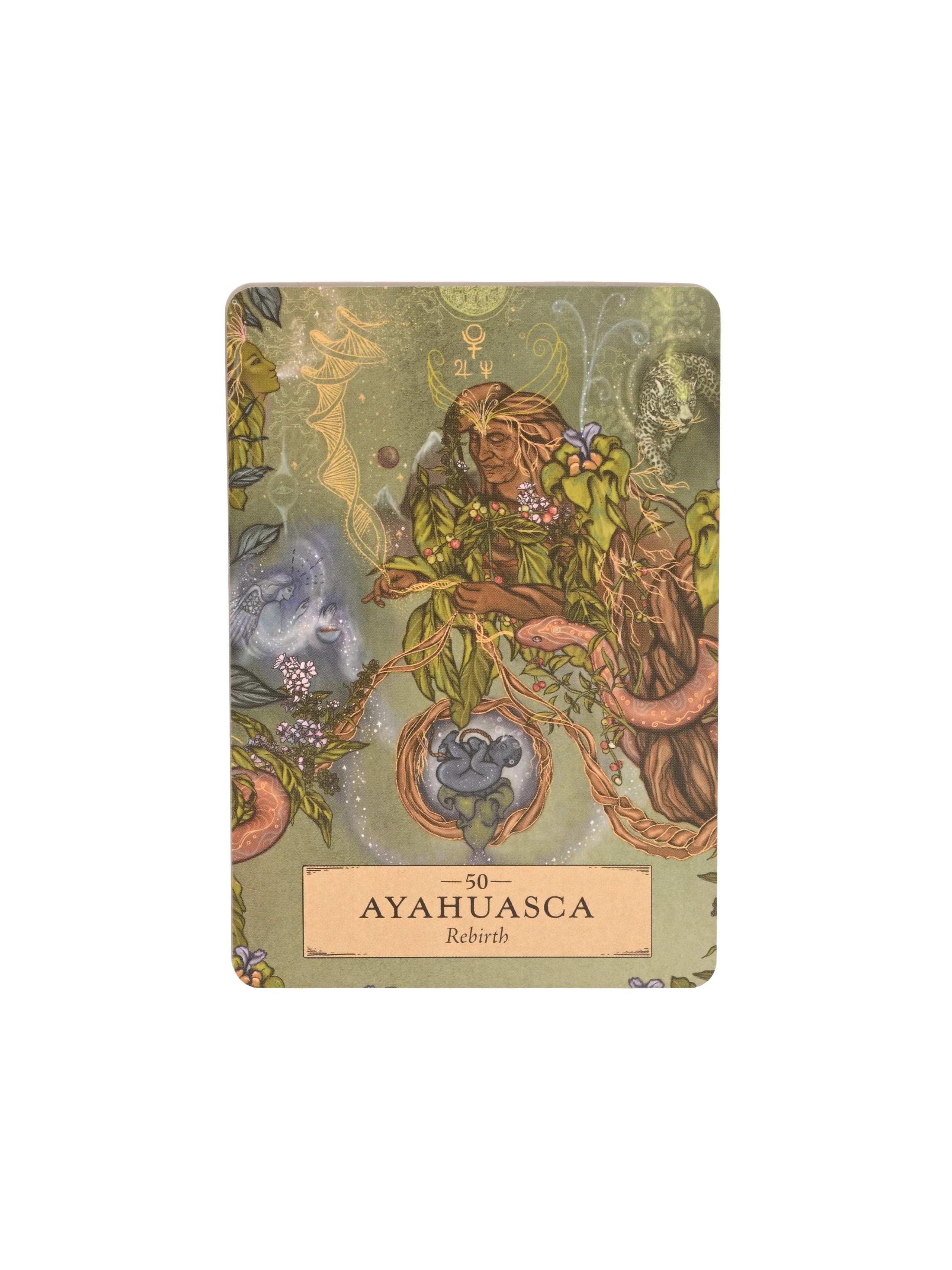 The Herbal Astrology Oracle Deck - Image 3