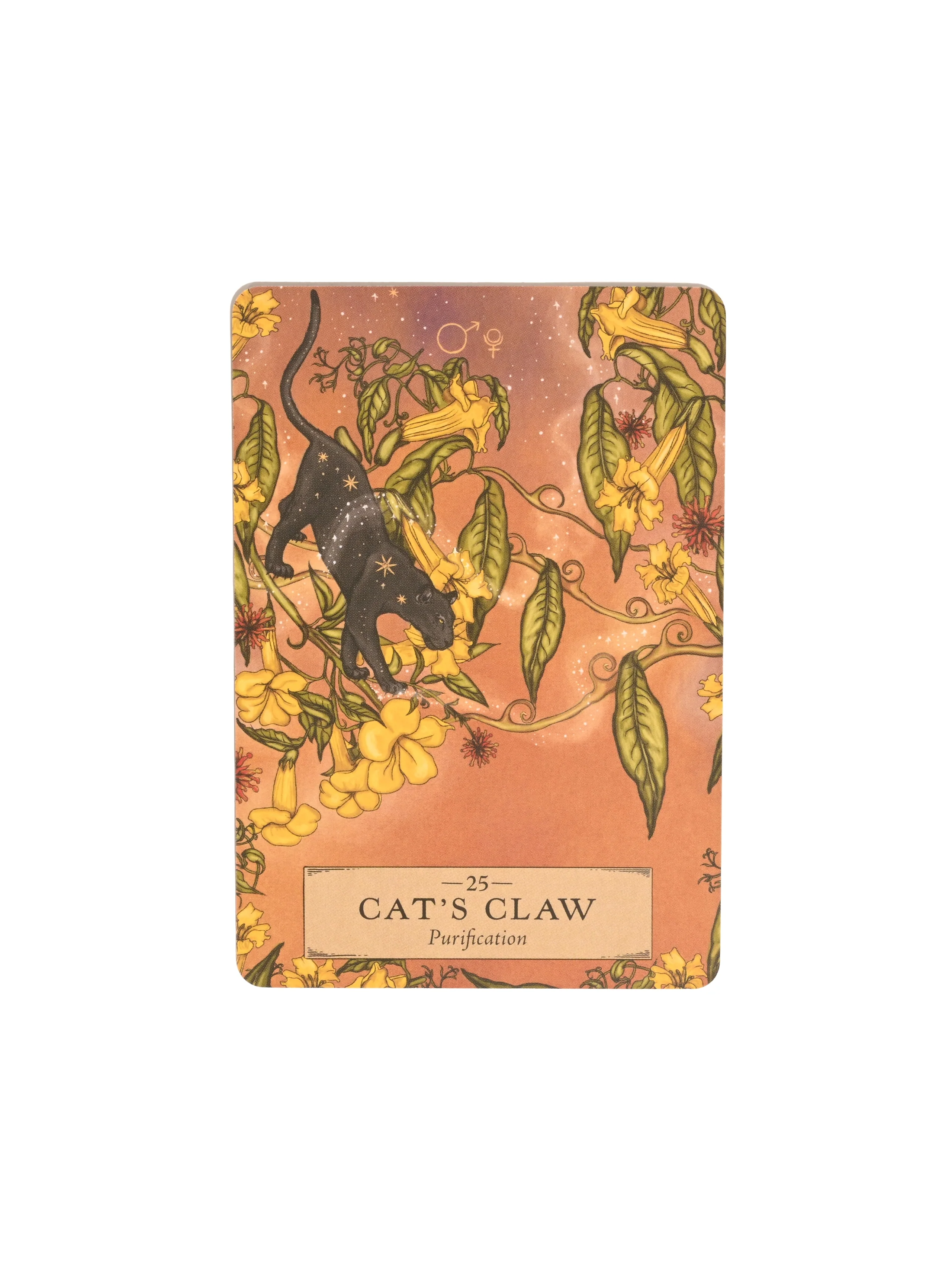 The Herbal Astrology Oracle Deck - Image 4