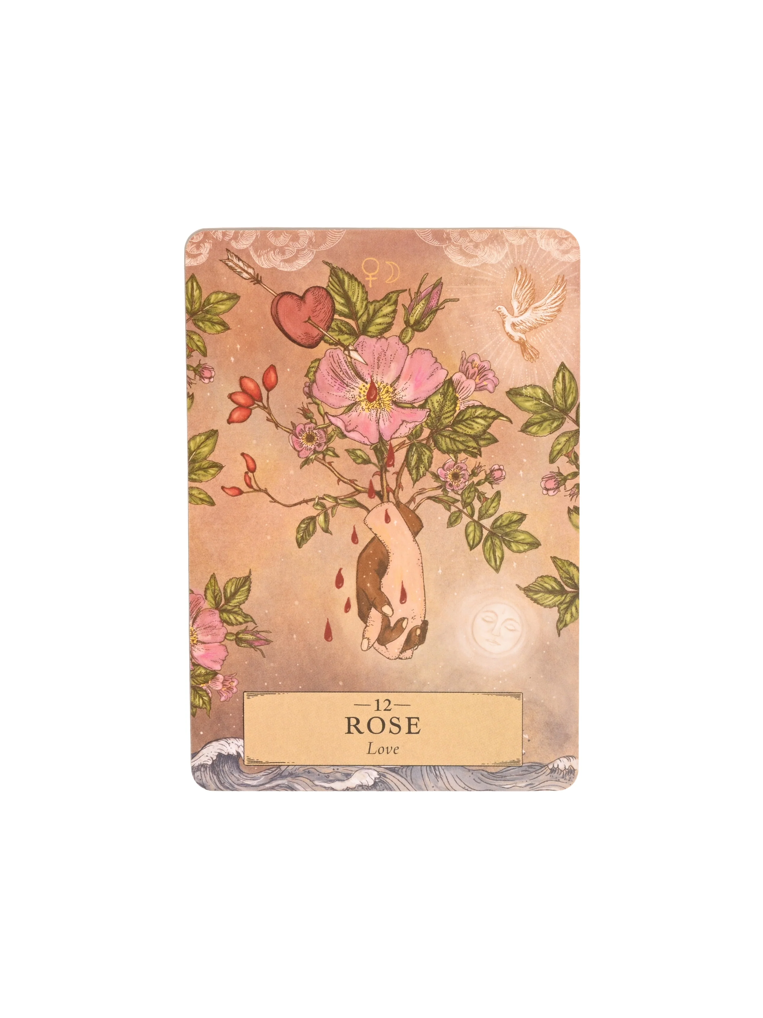 The Herbal Astrology Oracle Deck - Image 5