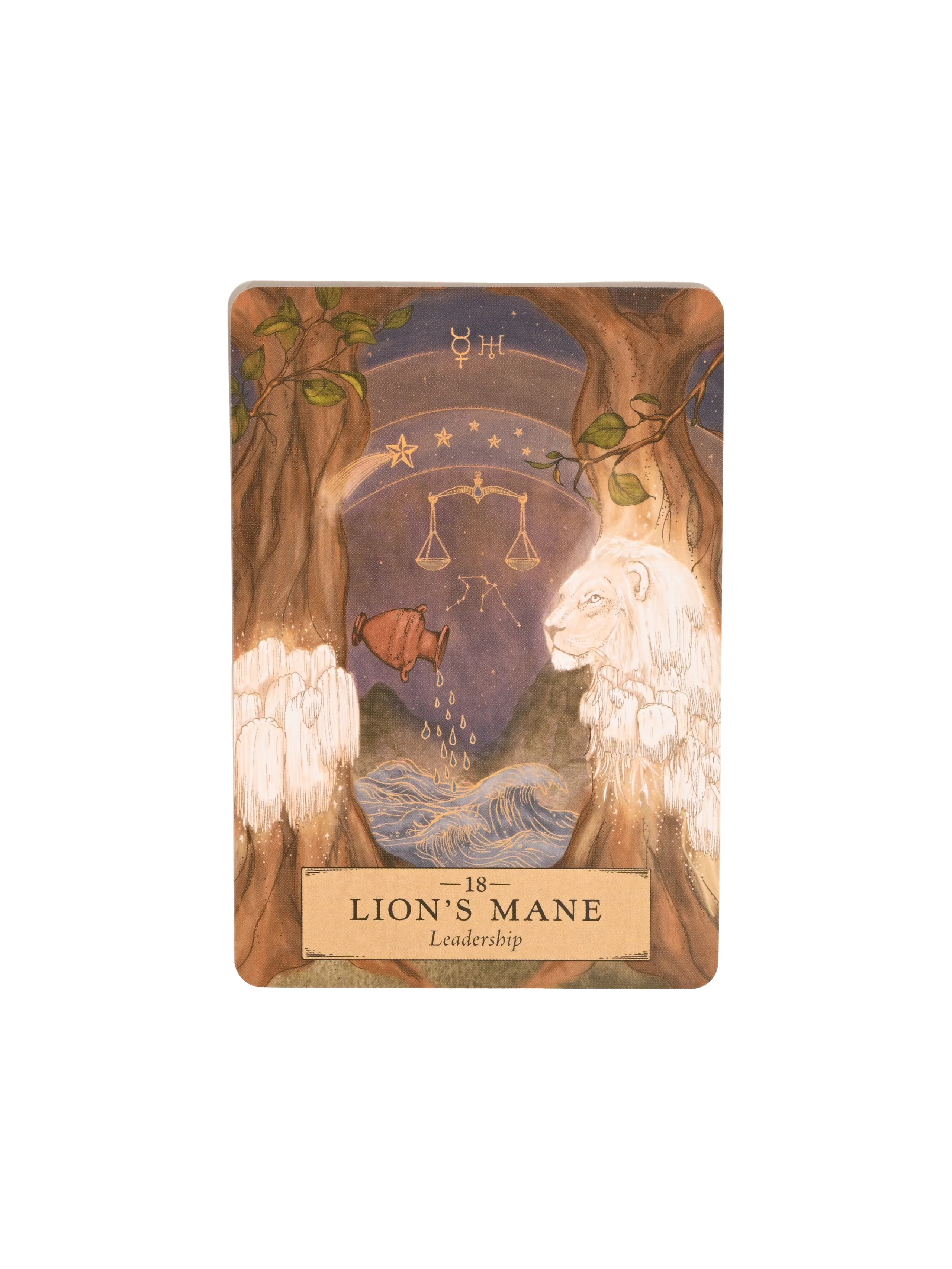 The Herbal Astrology Oracle Deck - Image 7