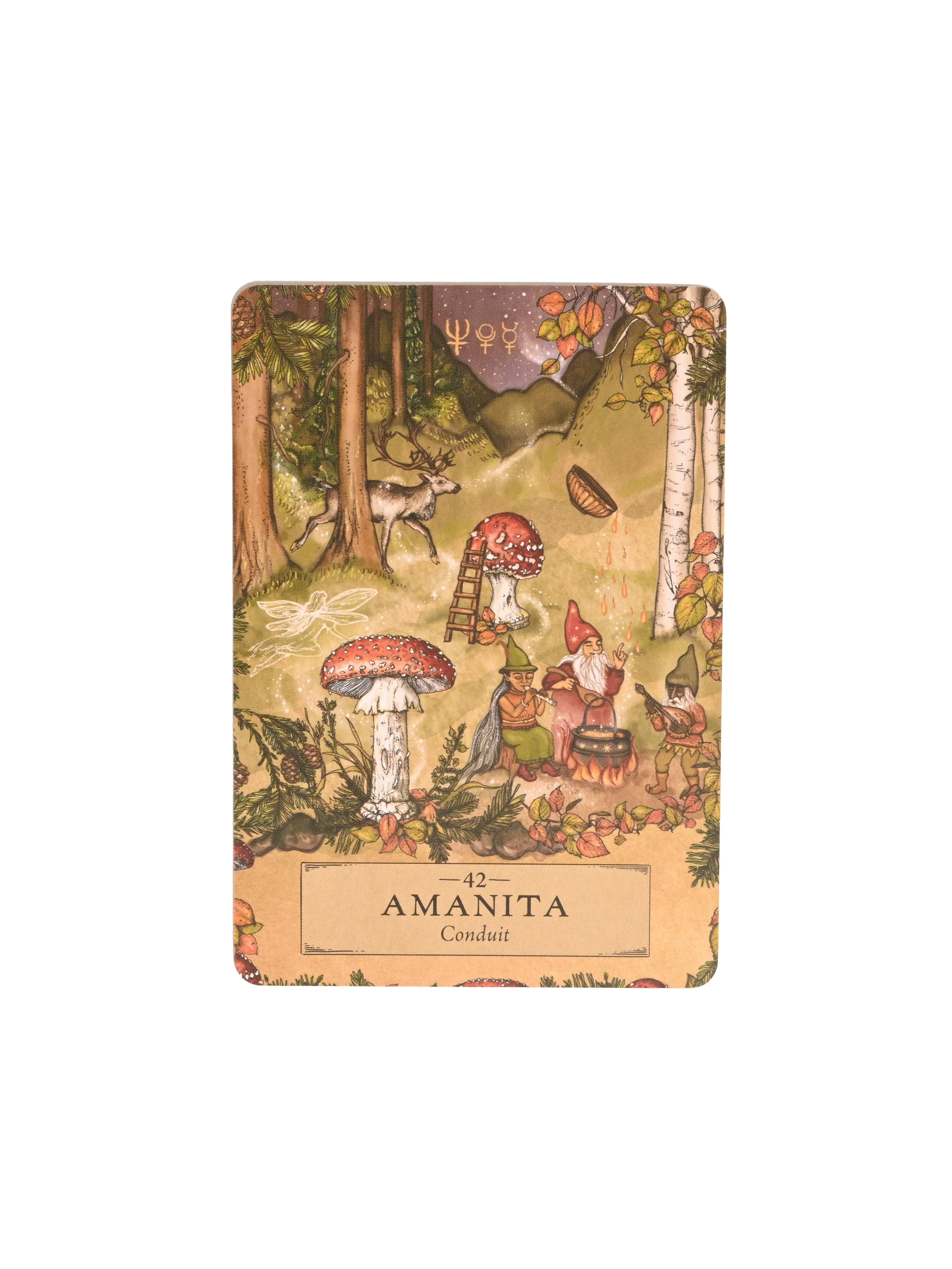 The Herbal Astrology Oracle Deck - Image 8