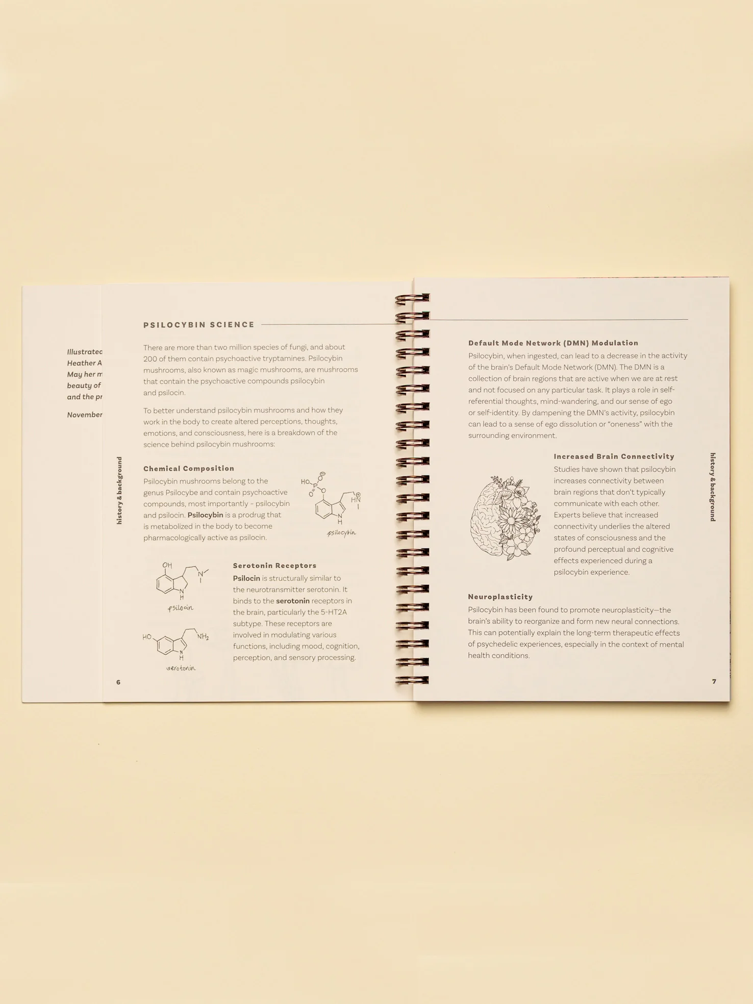 The Magic Is You Journal: Self-Guided Psilocybin Integration & Reflection Journal - Image 4