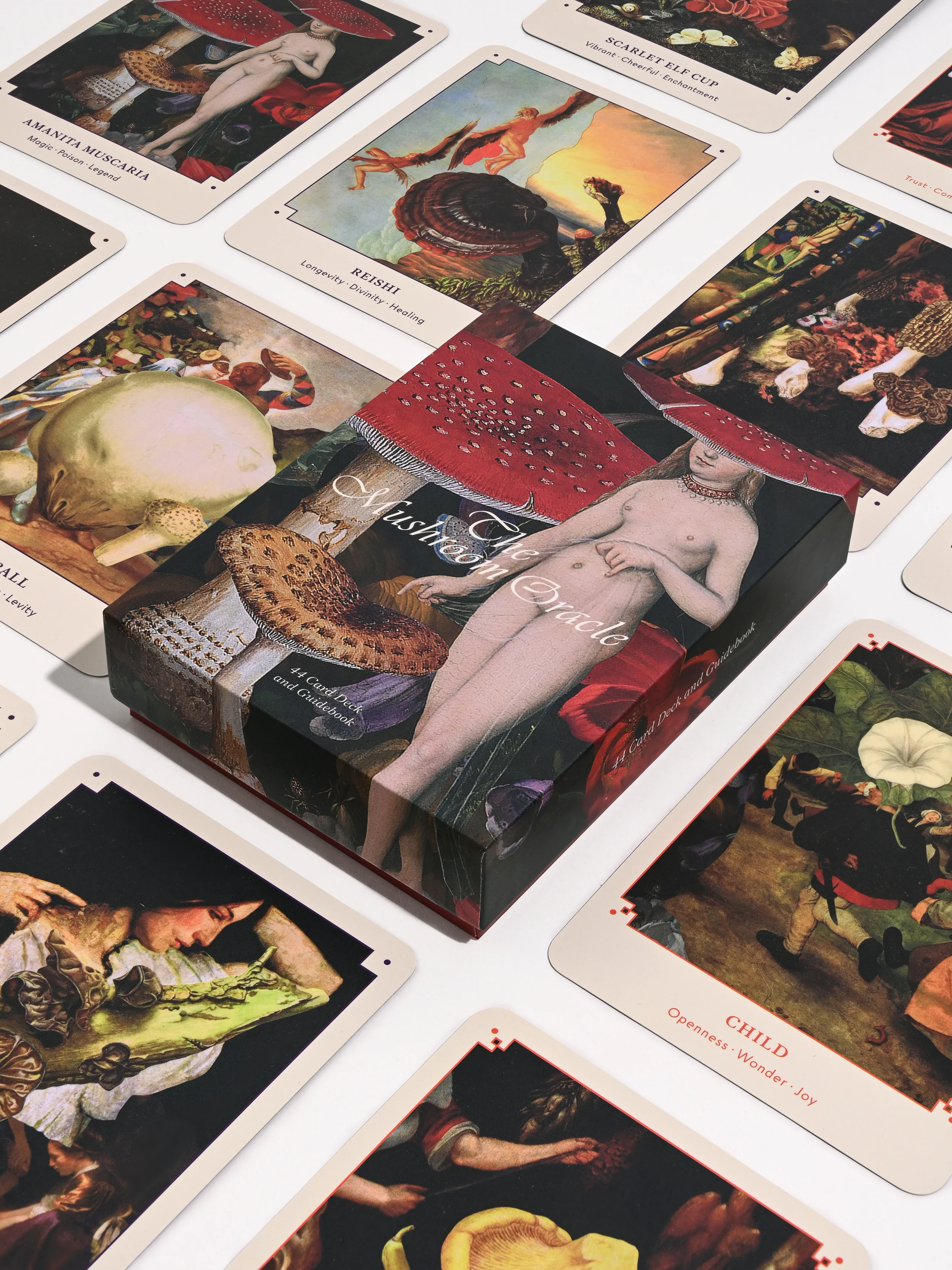 The Mushroom Oracle : 44 Card Deck & Guidebook
