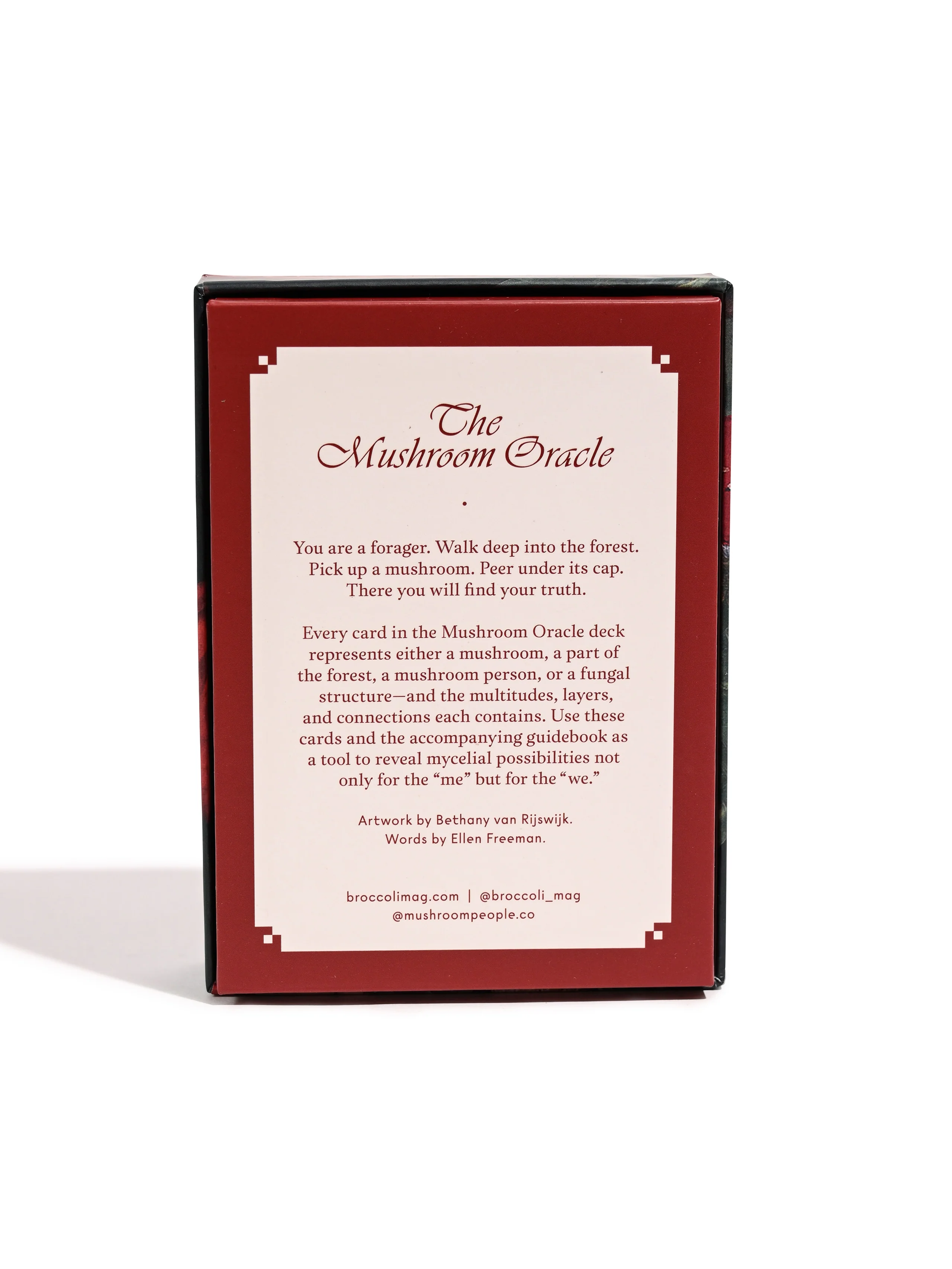 The Mushroom Oracle : 44 Card Deck & Guidebook - Image 3