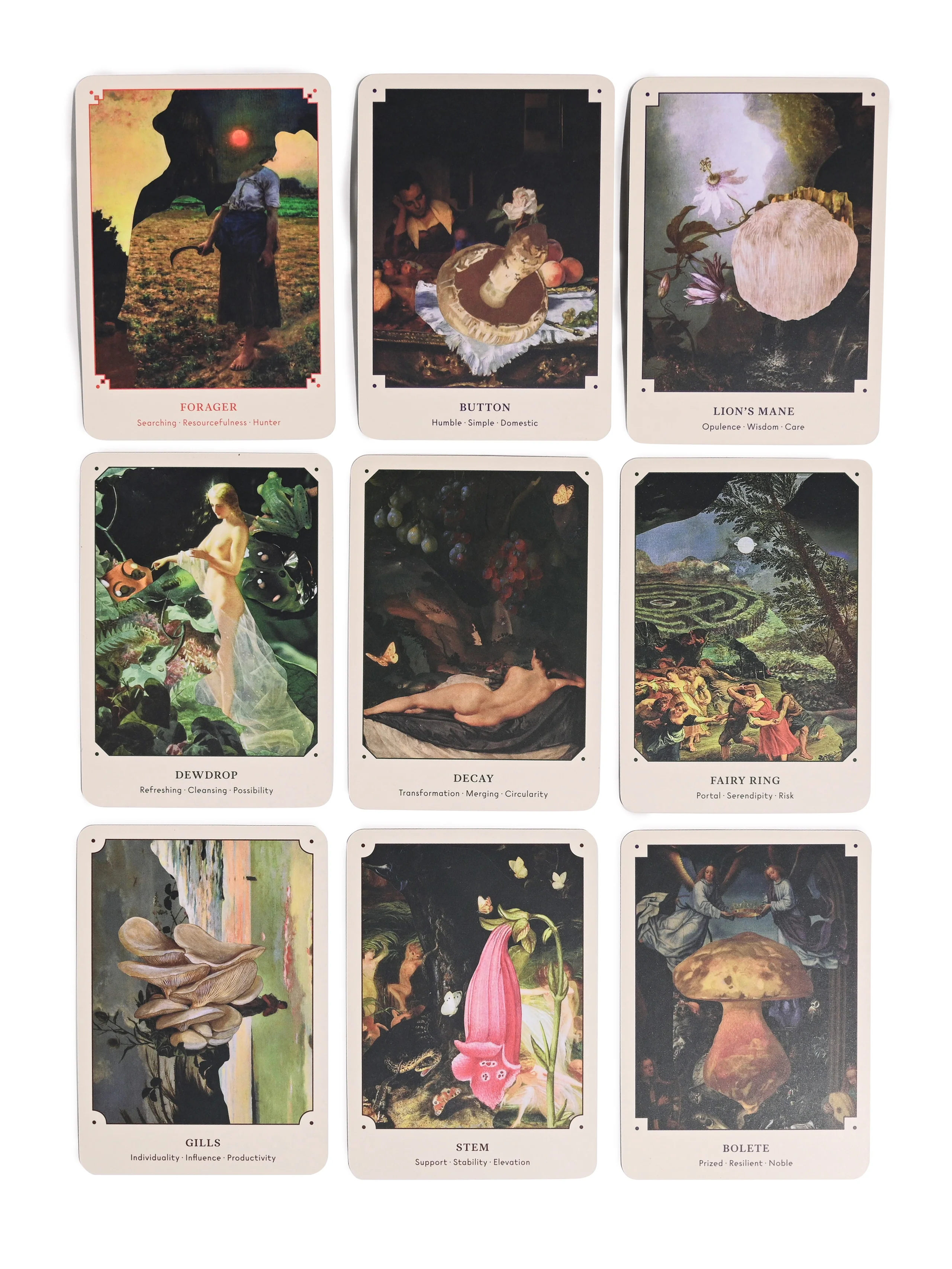 The Mushroom Oracle : 44 Card Deck & Guidebook - Image 4