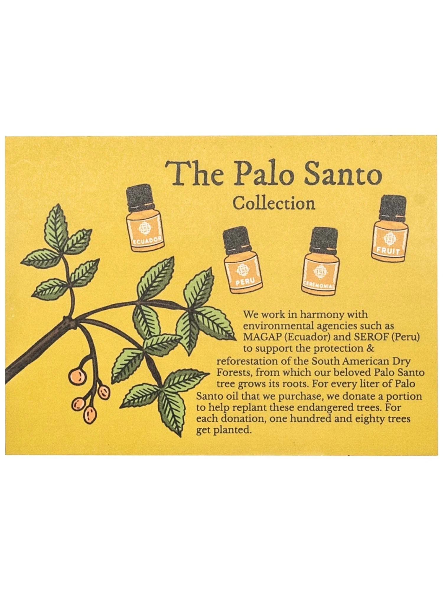 Palo Santo Oil Collection Gift Box - Image 2