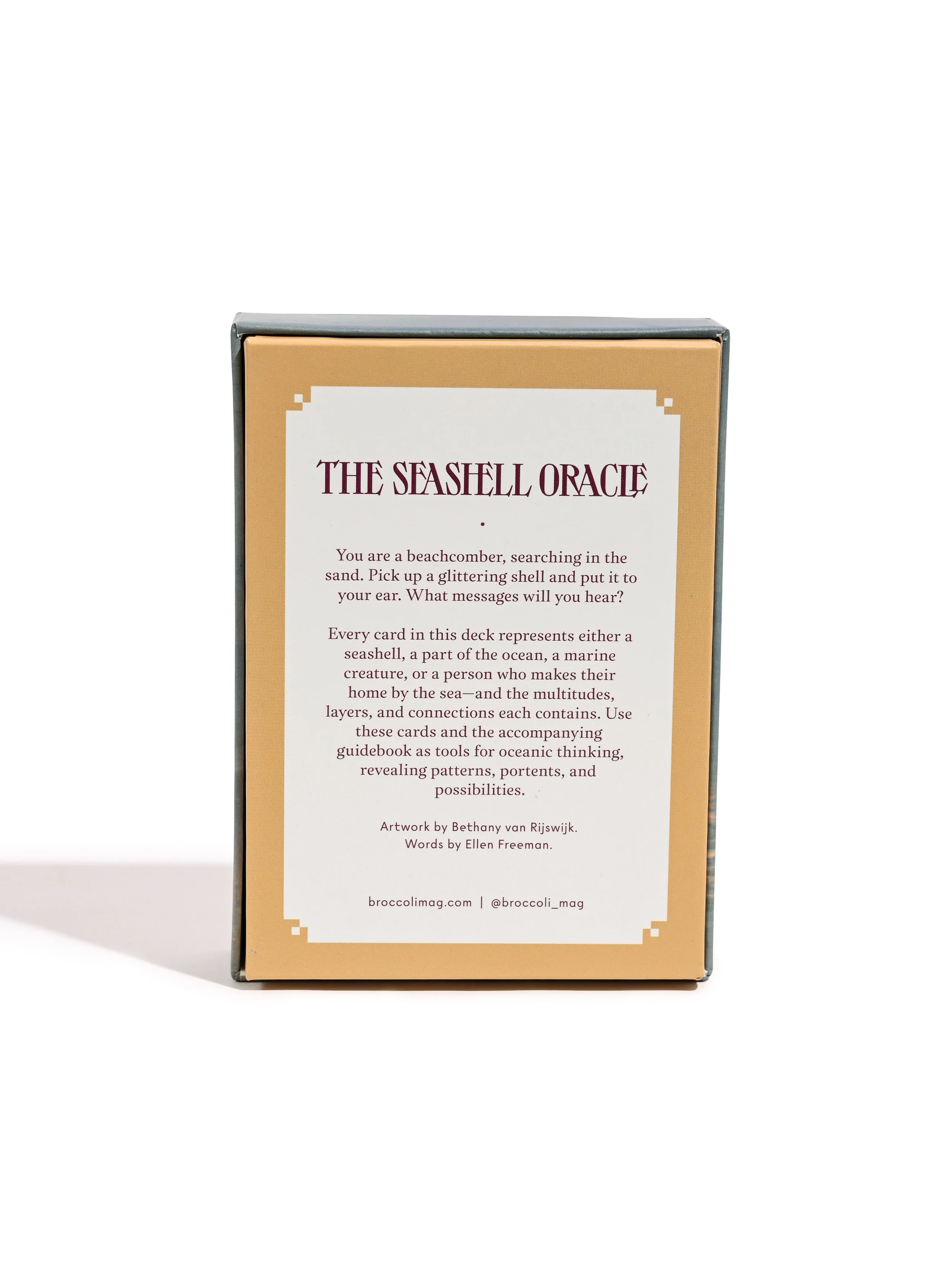 The Seashell Oracle : 44 Card Deck & Guidebook - Image 3