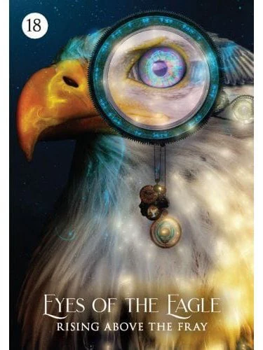 The Shaman's Dream Oracle: A 64-Card Deck and Guidebook - Image 2