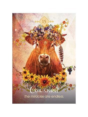 The Spirit Animal Oracle: A 68-Card Deck and Guidebook Cards by Colette Baron Reid - Image 2
