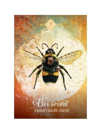 The Spirit Animal Oracle: A 68-Card Deck and Guidebook Cards by Colette Baron Reid - Image 3