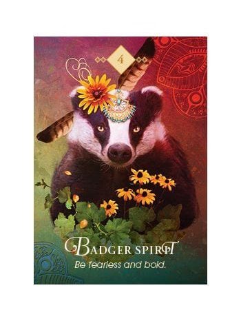 The Spirit Animal Oracle: A 68-Card Deck and Guidebook Cards by Colette Baron Reid - Image 4
