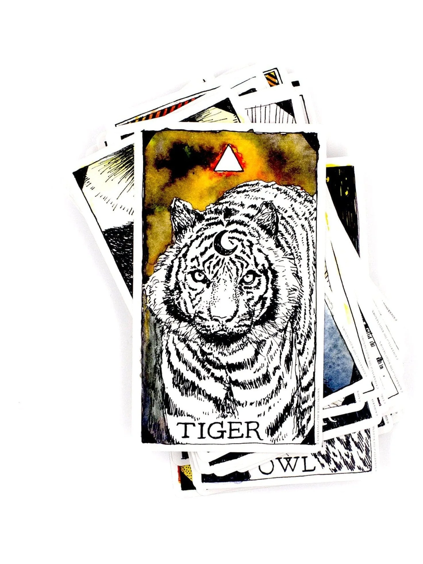 The Wild Unknown Animal Spirit Deck and Guidebook - Image 3