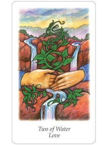 Vision Quest Tarot - Gayan Sylvie Winter and Jo Dos - Image 2