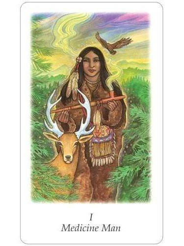 Vision Quest Tarot - Gayan Sylvie Winter and Jo Dos - Image 3