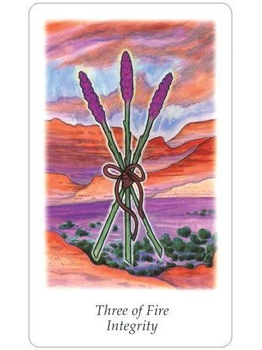 Vision Quest Tarot - Gayan Sylvie Winter and Jo Dos - Image 5