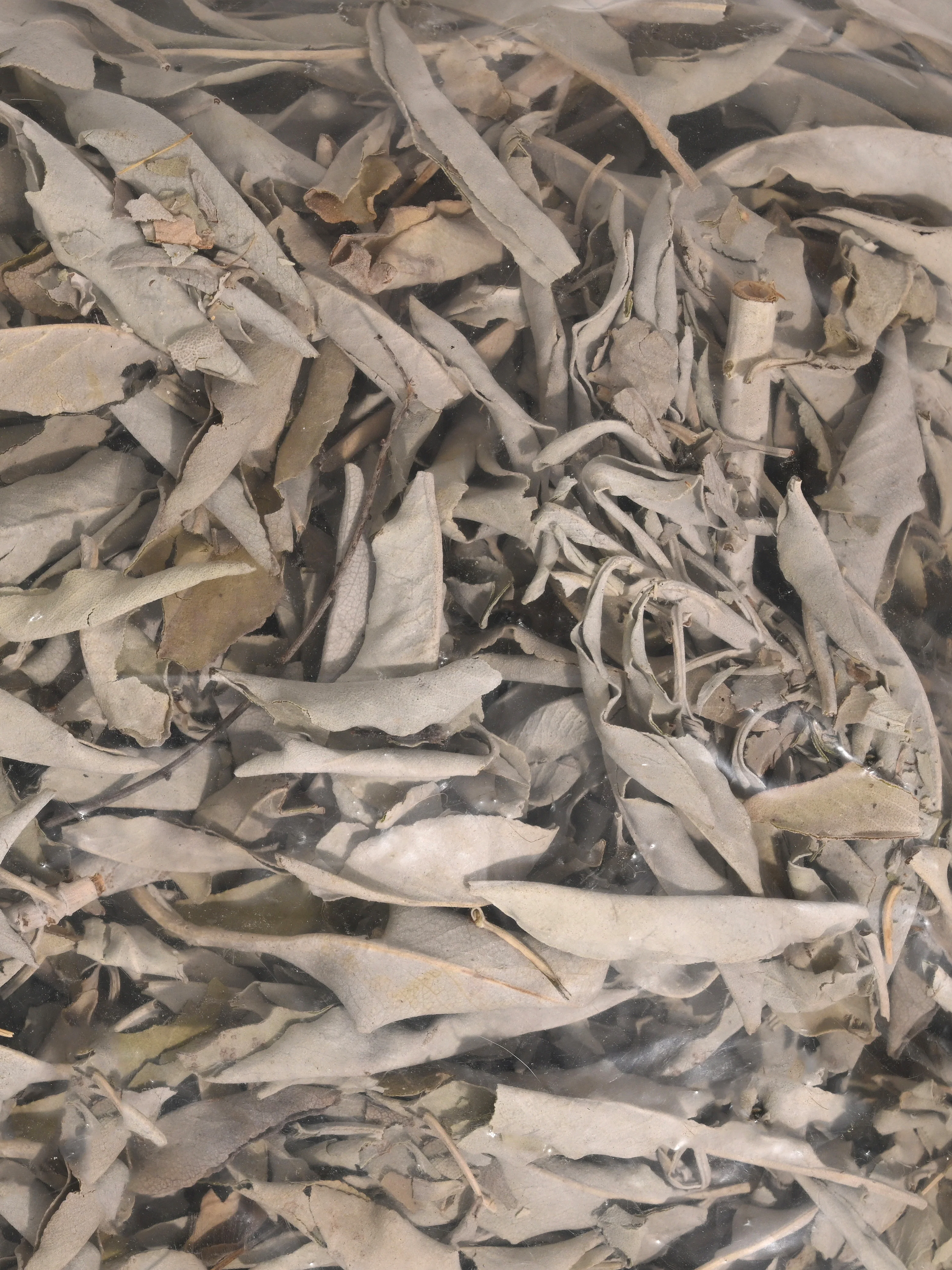 White Sage - Loose/Clusters - 2 Sizes - Image 5