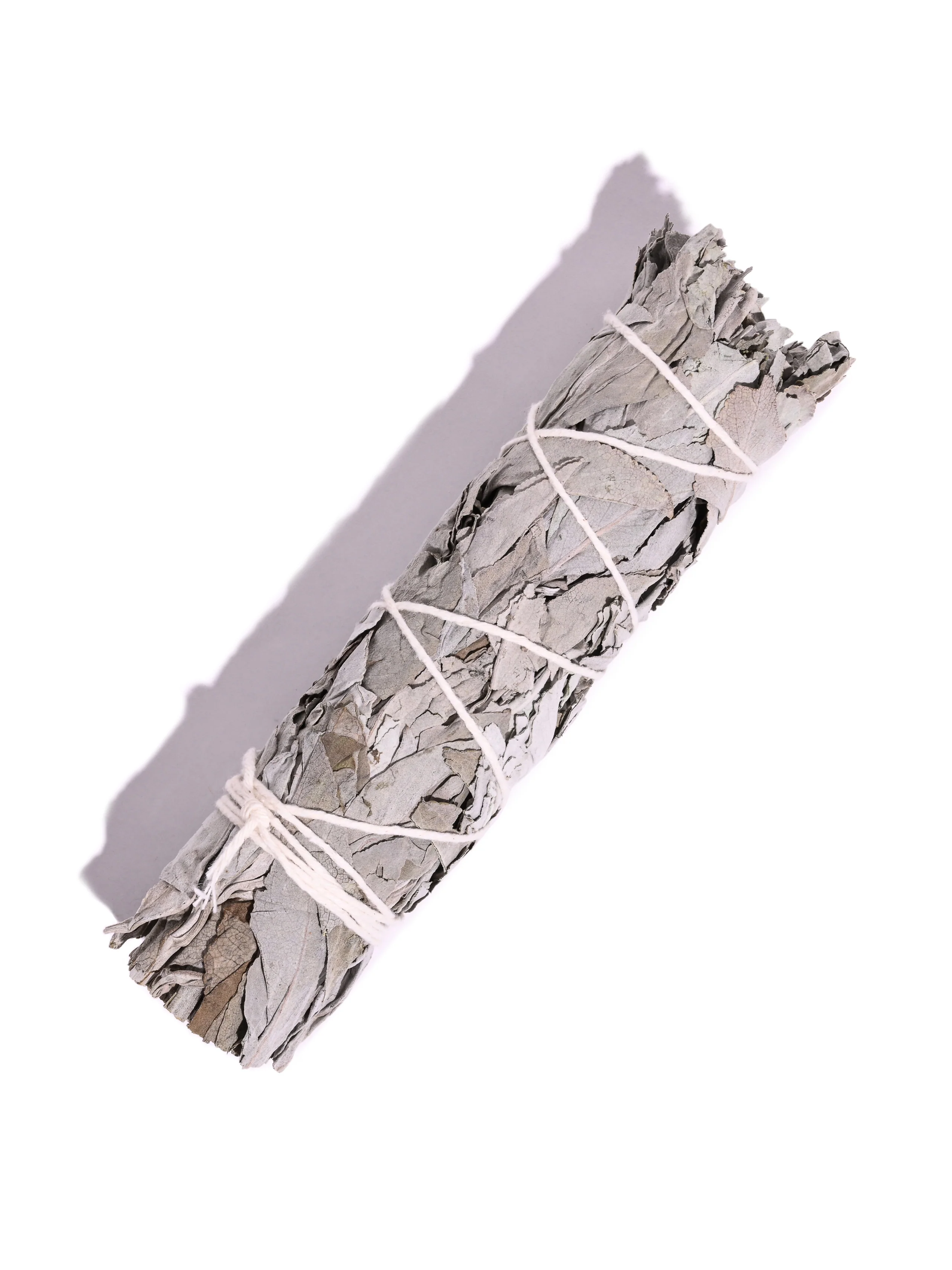White Sage Native American Grown Smudge Sticks - Image 5