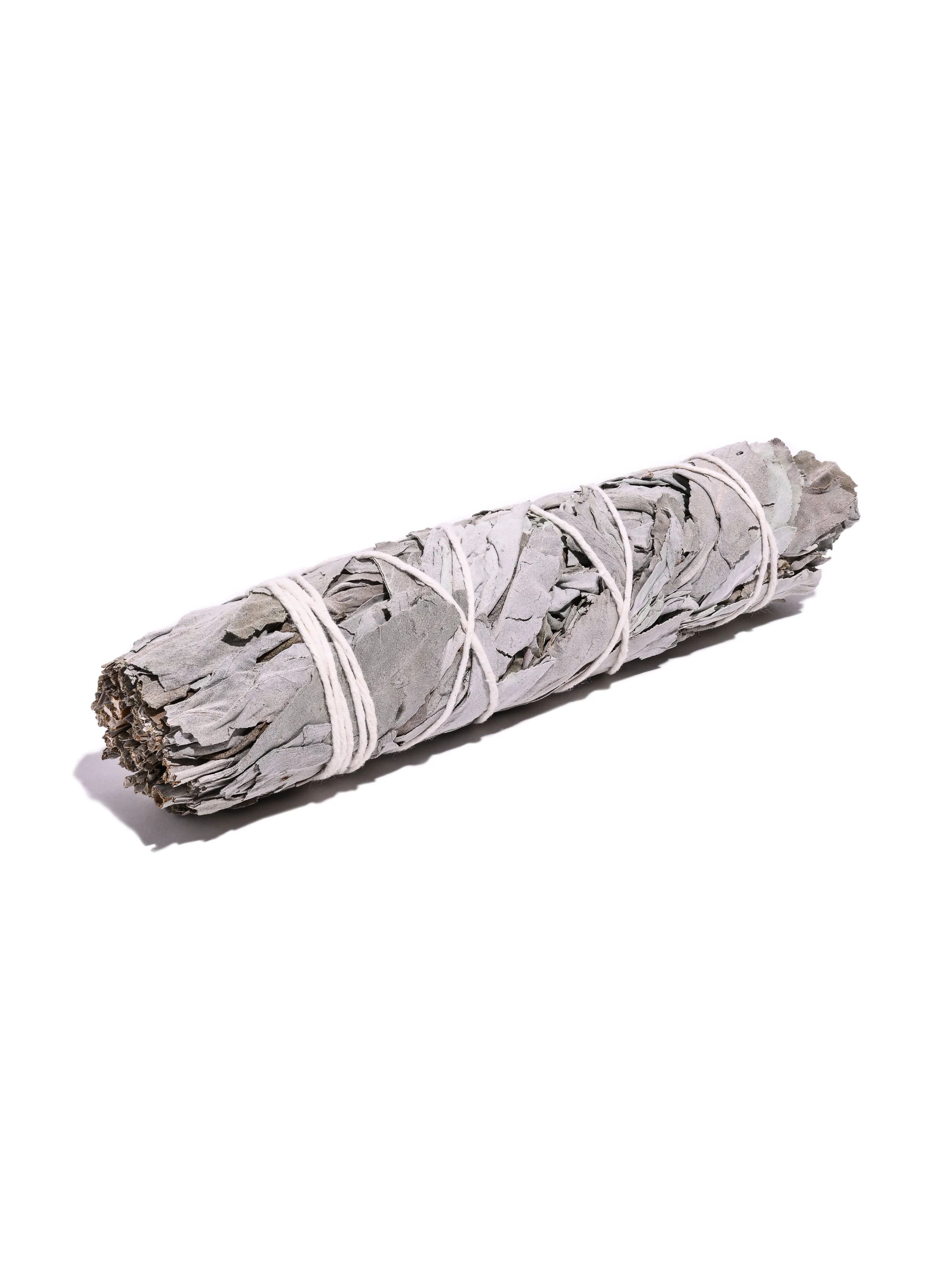 White Sage Native American Grown Smudge Sticks - Image 6