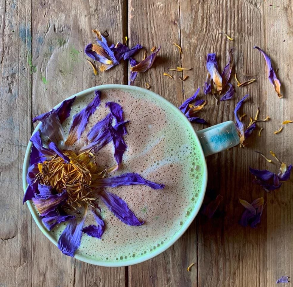 Whole Blue Lotus Flowers - Image 4