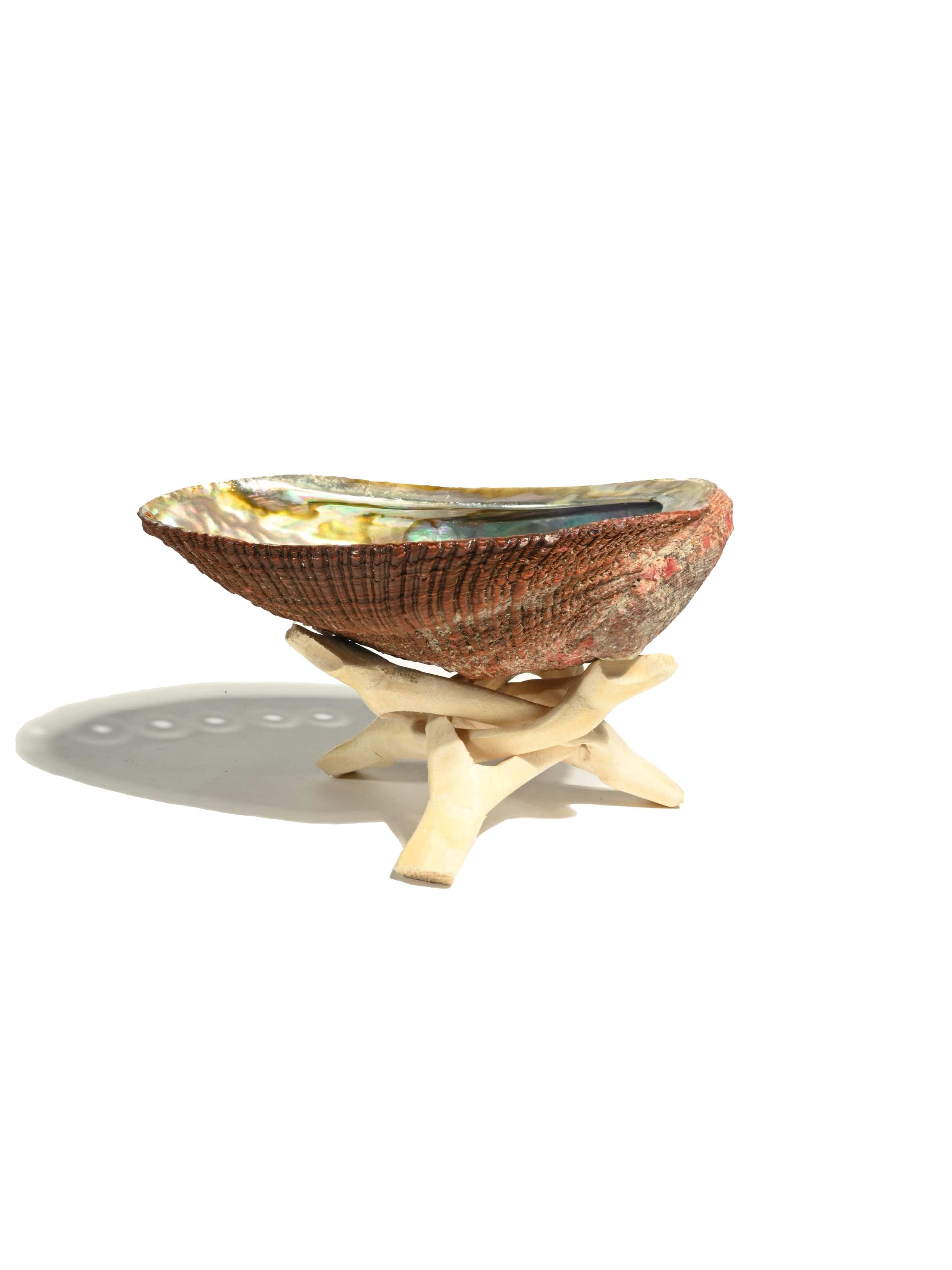 Wooden Cobra Tripod Stand - Image 4